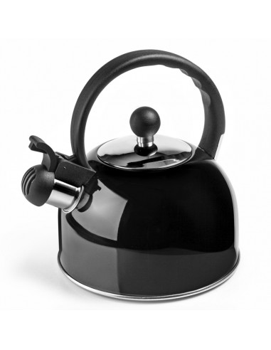 ibili 610425N Bouilloire sifflante, intérieur inox 2,5 litres