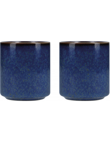 Mikasa MKSATCUP2PC Satori Porcelain 136ml Lot de 2 Sake Cups