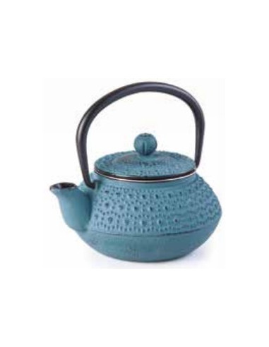 ibili 624003 Petite Théière en fonte pour 1 personne